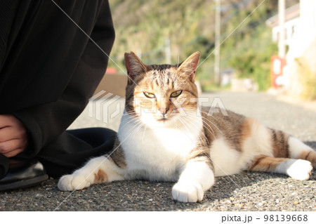 猫 猫 98139668