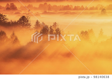 Mysterious Morning Time. Enchanted Morning Sun Shines On Plain. Sunrise Natural Background. Aerial View Amazing Misty Plain Landscape. Morning Fog Illuminated By Sun Covers Plain Landscape Mysterious Morning Time. Enchanted Morning Sun Shines On Plain. Sunrise Natural Background. Aerial View Amazing Misty Plain Landscape. Morning Fog Illuminated By Sun Covers Plain Landscape 98140638