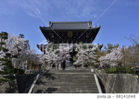 くろ谷 金戒光明寺 山門と桜 くろ谷 金戒光明寺 山門と桜 98141048