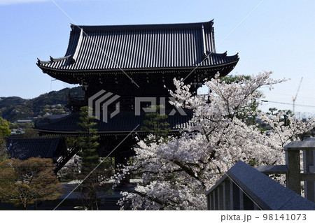 くろ谷　金戒光明寺　山門と桜 98141073