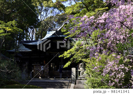 東天王 岡崎神社(うさぎ神社) 東天王 岡崎神社(うさぎ神社) 98141341
