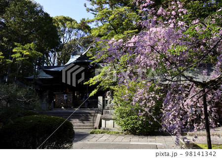 東天王 岡崎神社(うさぎ神社) 東天王 岡崎神社(うさぎ神社) 98141342