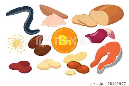 ビタミンB1を含む食品のベクターイラスト。 98141997