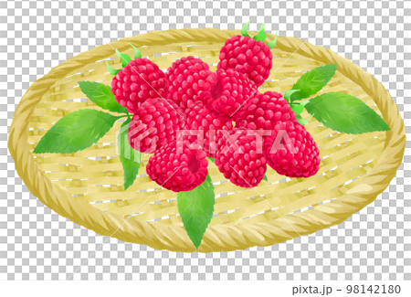 Illustration of raspberries in a colander Illustration of raspberries in a colander 98142180