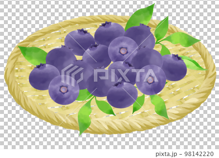 ザルに載ったブルーベリーのイラスト 98142220