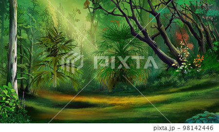 Meadow in a rainforest Illustration 98142446
