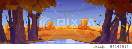 Rain in autumn forest, wild nature landscape, fall Rain in autumn forest, wild nature landscape, fall 98142915
