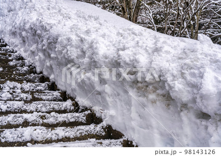 冬の土津神社　雪と参道　福島県猪苗代町 98143126