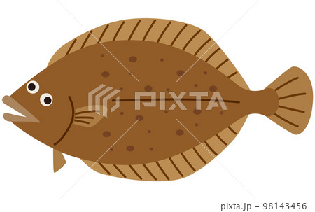 かれい 鰈 魚介類 かれい 鰈 魚介類 98143456