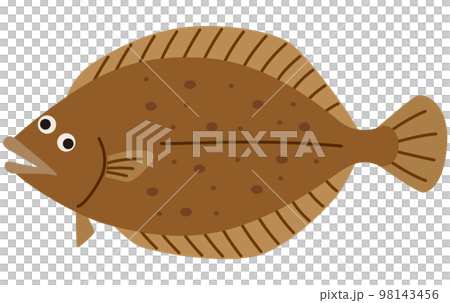 かれい 鰈 魚介類 かれい 鰈 魚介類 98143456
