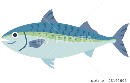 鯖　関サバ　魚介類 98143698