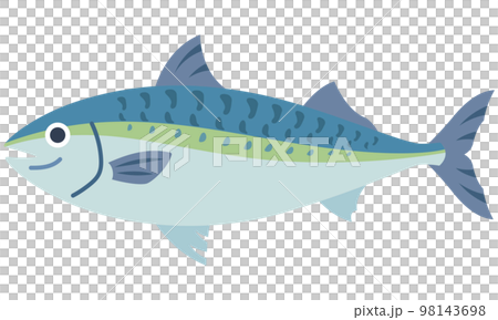 鯖　関サバ　魚介類 98143698