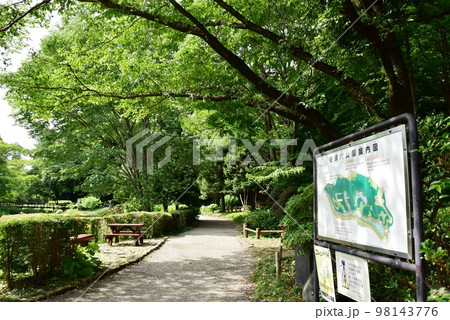 神奈川県相模原市 道保川公園散策路と公園案内板と新緑 神奈川県相模原市 道保川公園散策路と公園案内板と新緑 98143776