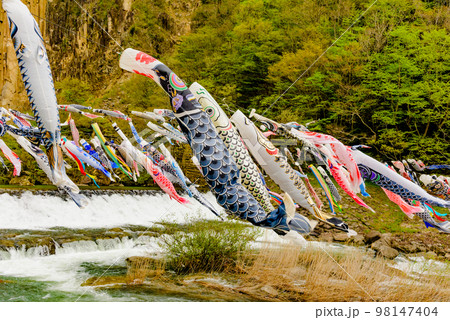 宮城　材木岩の鯉のぼり 98147404