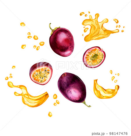 Purple passion fruits and splash juice watercolor illustration isolated on white background. 98147476