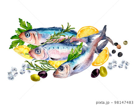 Composition of sardines and spices watercolor illustration isolated on white. 98147483
