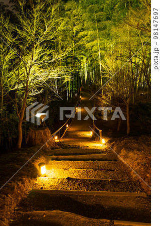 古都京都　東山花灯路　高台寺　竹林 98147697