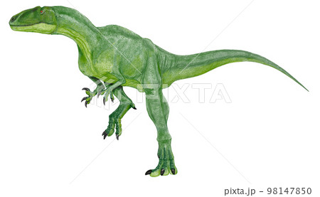 そのまま訳すと福井の泥棒 フクイラプトル そのまま訳すと福井の泥棒 フクイラプトル 98147850