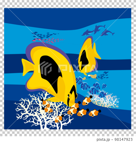 楽しく泳ぐ海水魚と珊瑚 98147923
