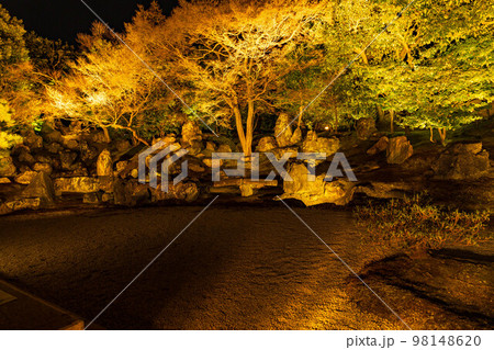 古都京都 東山花灯路 圓徳院 北庭 古都京都 東山花灯路 圓徳院 北庭 98148620