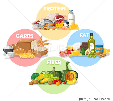The four main food groups 98149276
