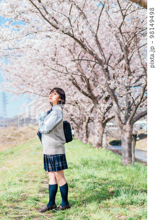 桜の咲いた河川敷を通学する女子高生 98149498