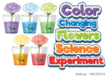 Color Changing Flowers Science Experiment 98150412