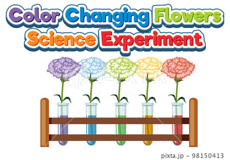 Color Changing Flowers Science Experiment 98150413