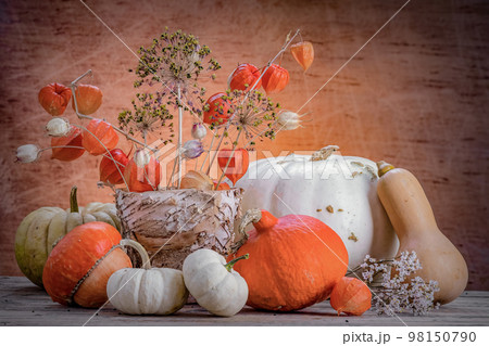 Still life of various pumpkins and dry flowers in a pot made of tree bark. 98150790