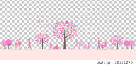 桜の咲く公園と人々の風景　背景素材 98151279