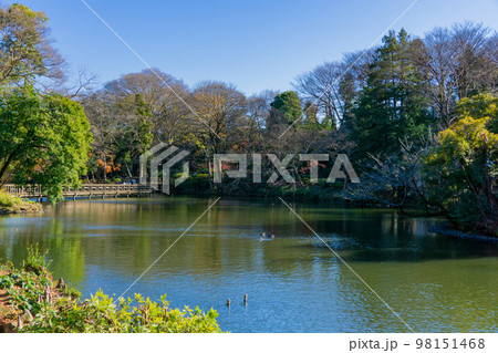 東京都　井の頭公園　井の頭弁財天 98151468