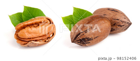 one pecan with leaves isolated on white background 98152406