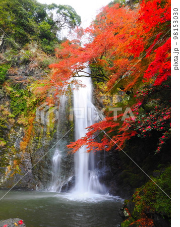 箕面の滝(紅葉) 箕面の滝(紅葉) 98153030