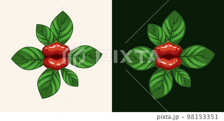 Exotic tropical flower Psychotria elata known... - Stock Illustration  [98153351] - PIXTA
