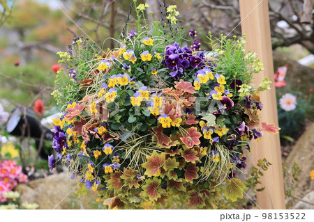 花いっぱい 0056 花いっぱい 0056 98153522