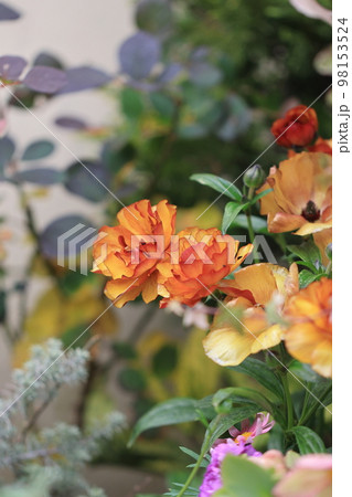 花いっぱい 0058 花いっぱい 0058 98153524