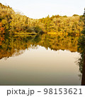 自然の中にある湖 98153621