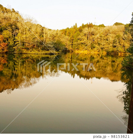 自然の中にある湖 98153621