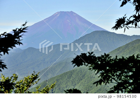 道志山塊の道志山稜縦走コース　赤鞍ヶ岳の森より富士山を望む 98154530