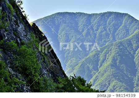 道志山塊の赤鞍ヶ岳　ウバガ岩より大室山を望む 98154539