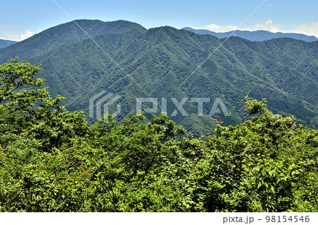 道志山塊の菜畑山山頂から眺める西丹沢 98154546