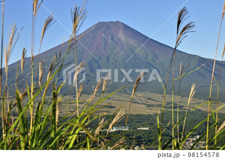 道志山塊の高座山 ススキに夏の富士山 道志山塊の高座山 ススキに夏の富士山 98154578