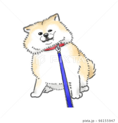 散歩を拒否する犬 98155947