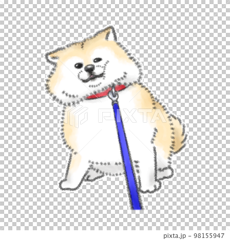 拒絕走路的狗 98155947