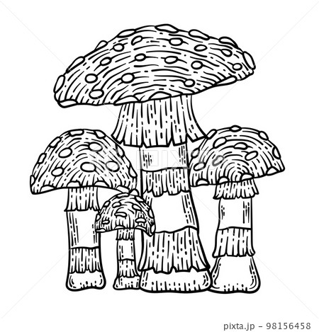 15 Free Mushroom Coloring Pages - Artsydee - Drawing, Painting, Craft &  Creativity | Drawings, Coloring book art, Mushroom drawing