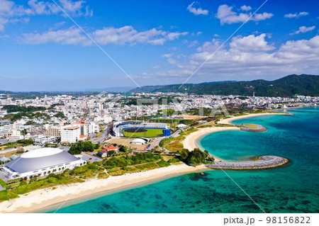 沖縄 名護 21世紀の森公園 98156822