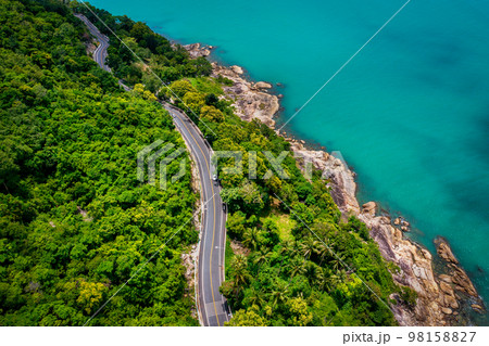 Aerial view of road between coconut palm tree and great ocean at daytime in Nakhon Si Thammarat, Thailand 98158827