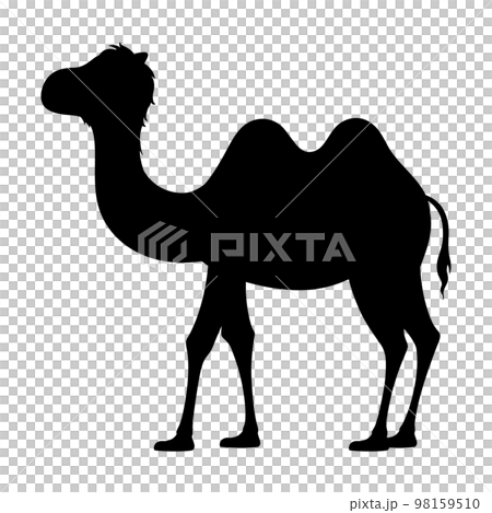 Bactrian camel illustration_silhouette 98159510