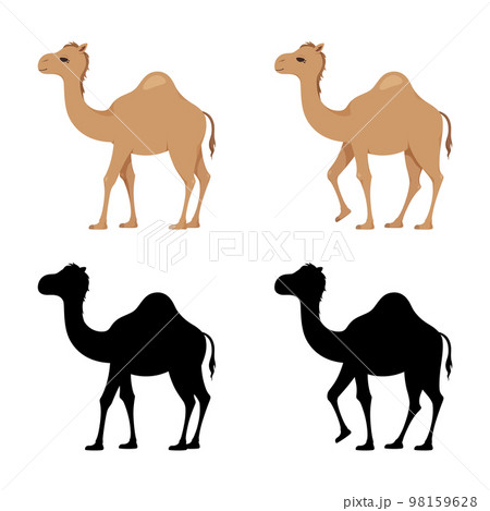 ヒトコブラクダのイラスト素材セット 98159628