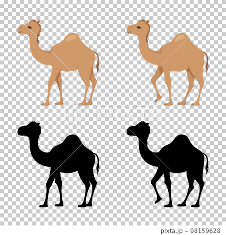 ヒトコブラクダのイラスト素材セット 98159628